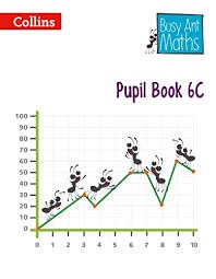 COLLINS BUSY ANT MATHS BOOK 6C