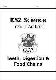 CGP KS2 SCIENCE WORKOUT YEAR 4 TEETH DIGESTION FOODCHAINS